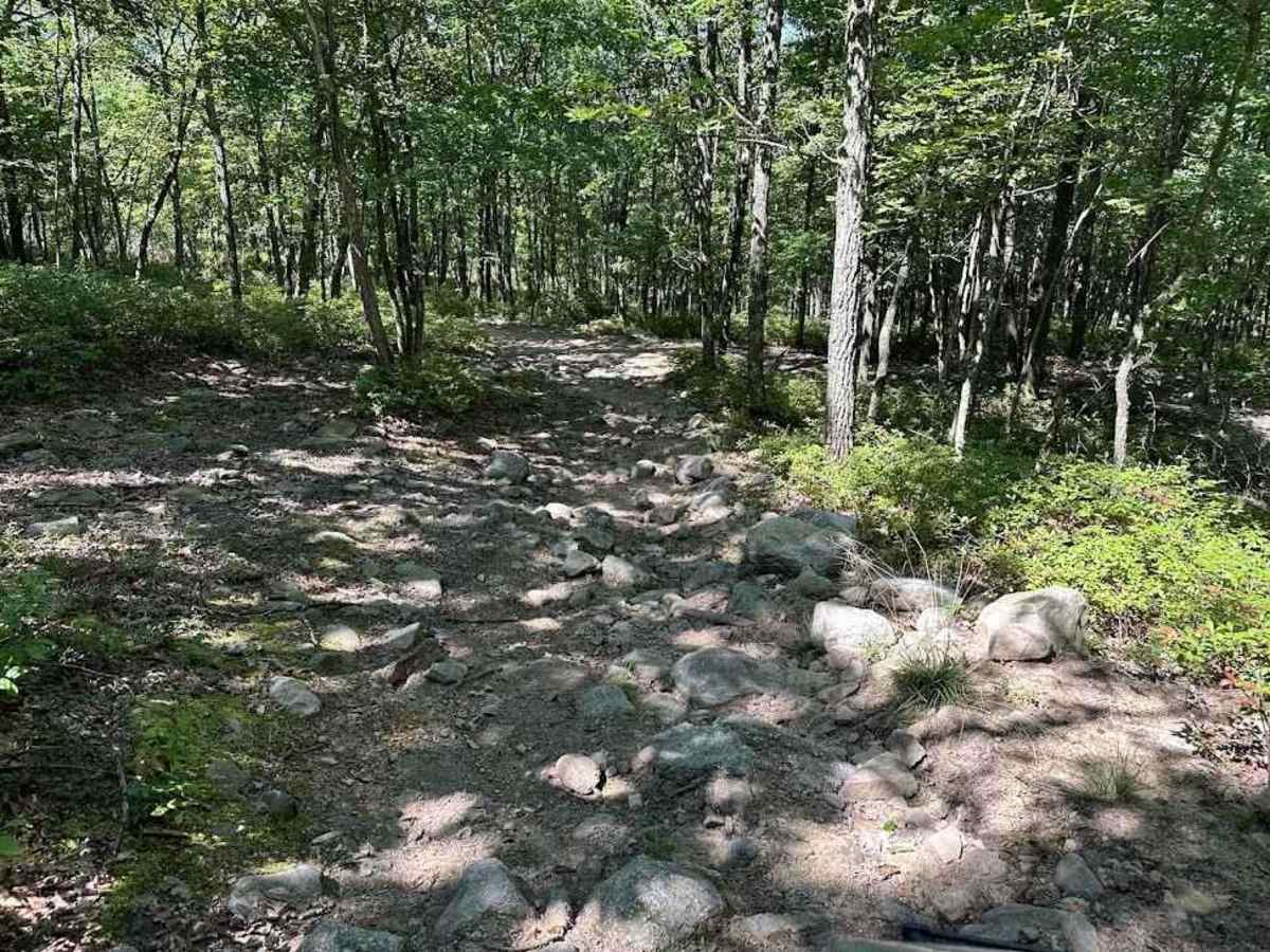 22 Red trail photo