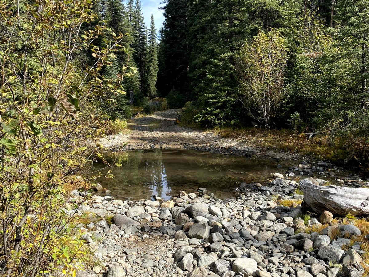 Rock Creek/Leadville photo 3