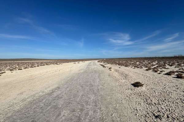 Salt Flats
