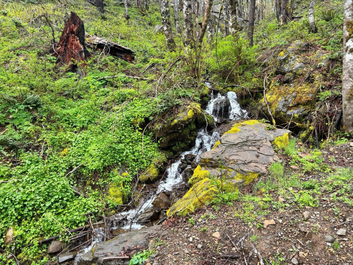 Horse Creek Road photo 6