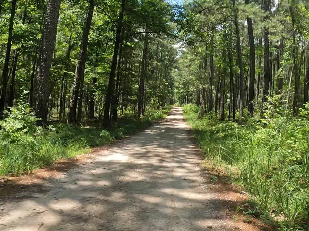 Penfield Hunt Camp Road photo 5
