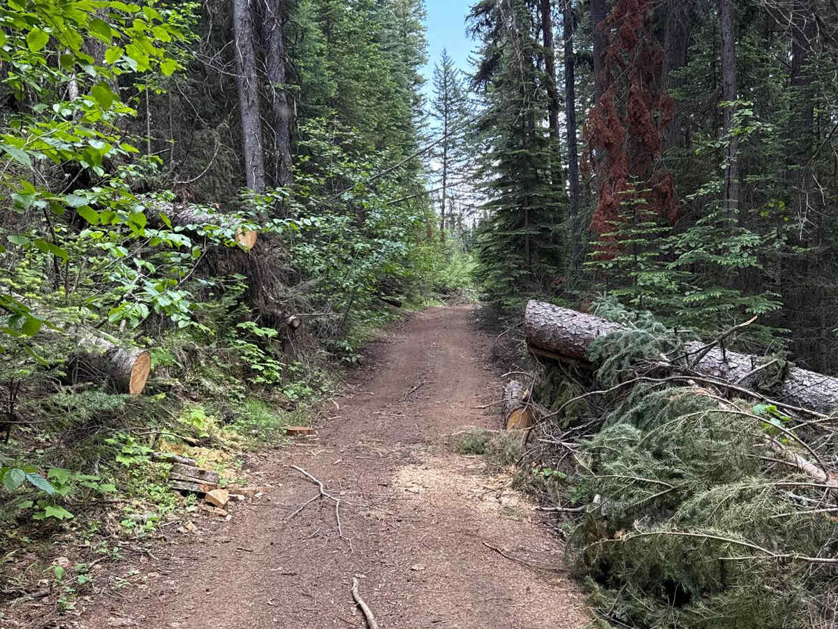 Bear Lake Road trail photo