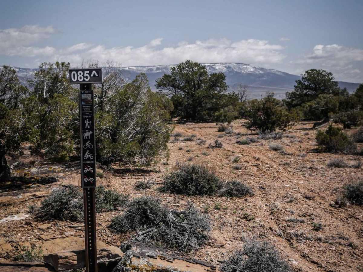 BLM Route 85 trail photo