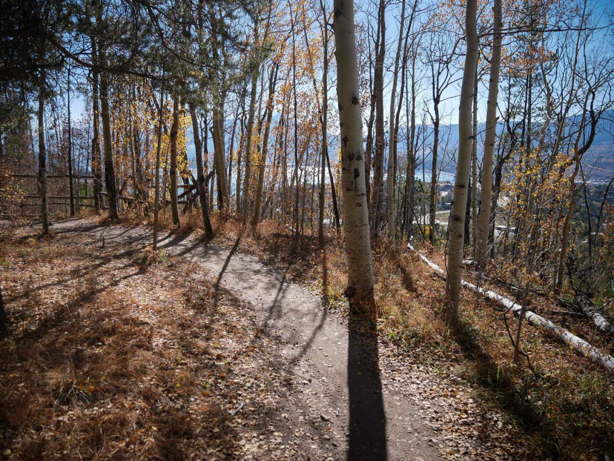 Tenderfoot Mountain photo 2