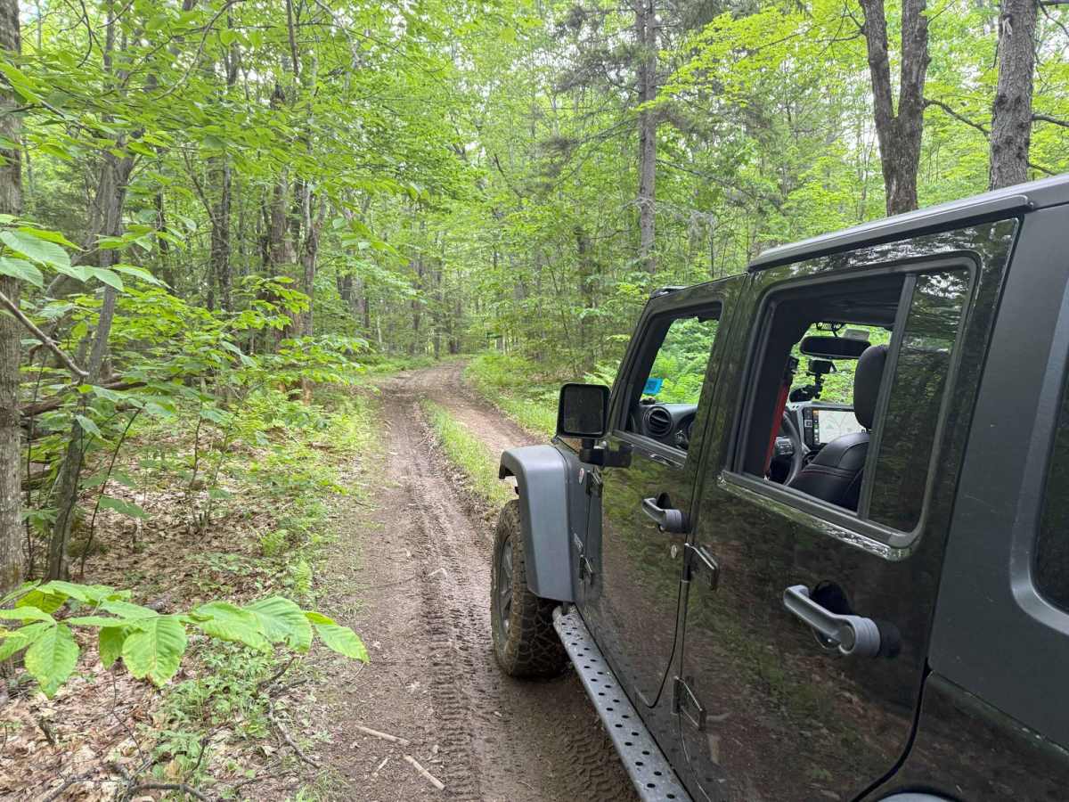 Wade Hill Road trail photo