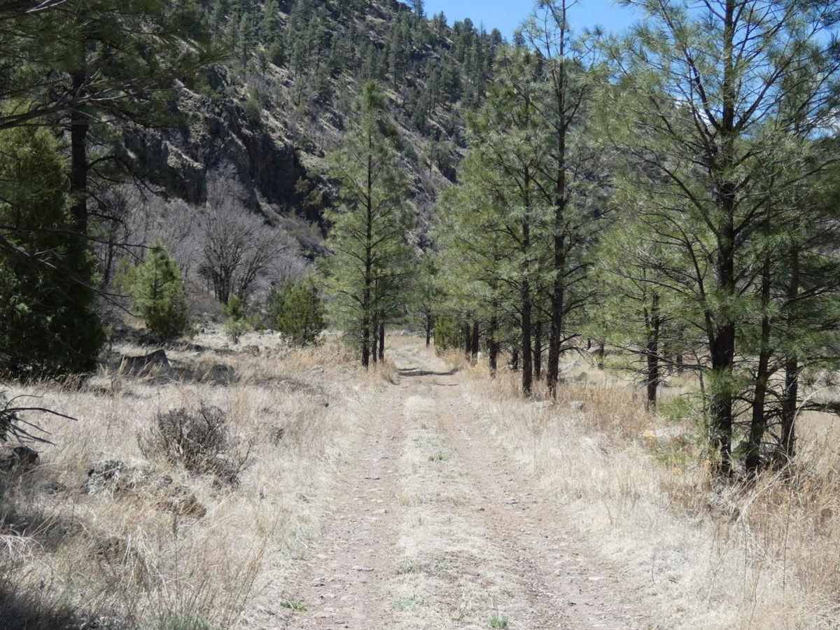Beaver Creek Canyon photo 4