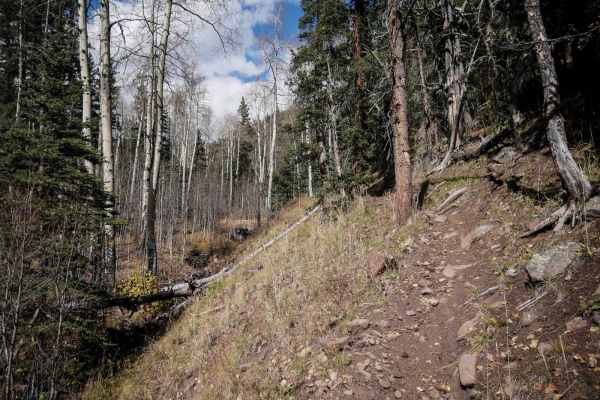 La Garita Creek Cutoff Single Track