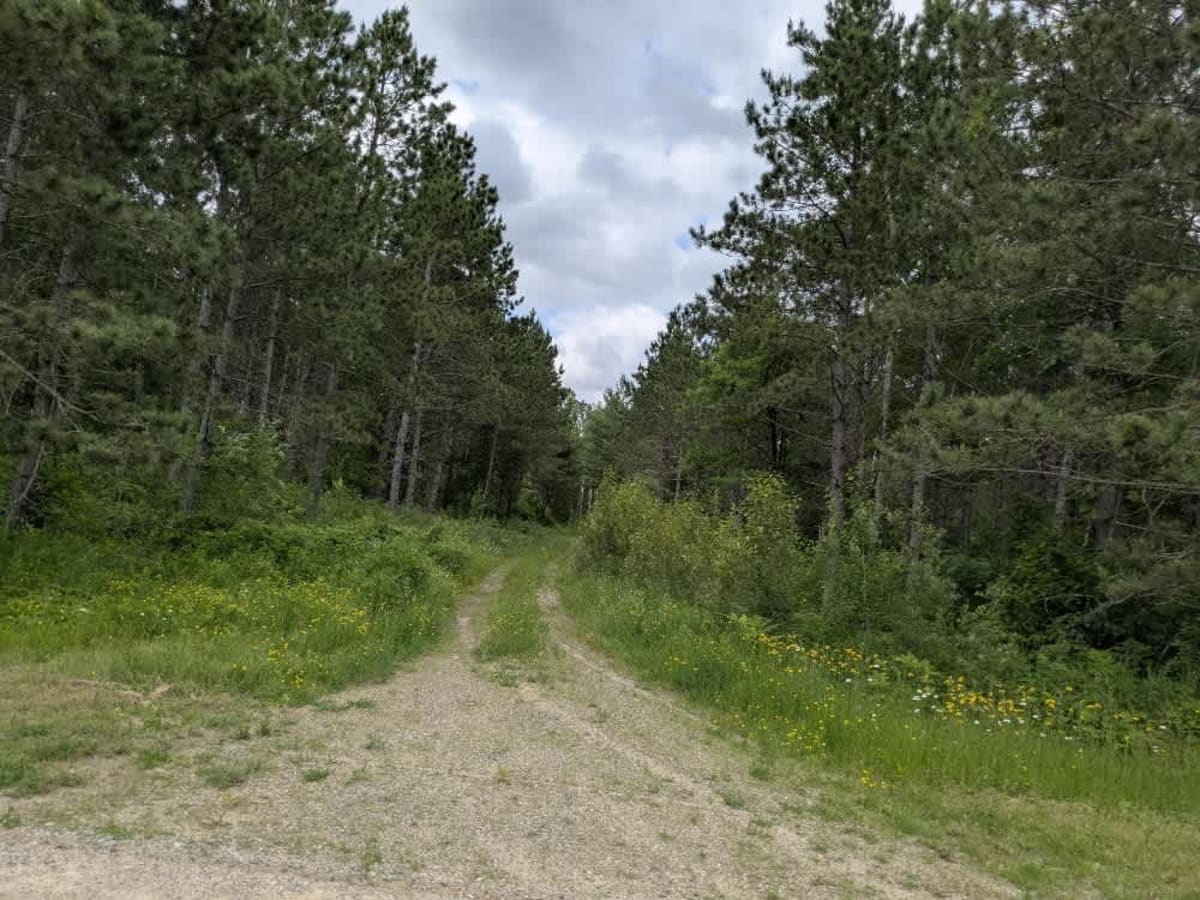 Bachelor Road Northwest photo 4