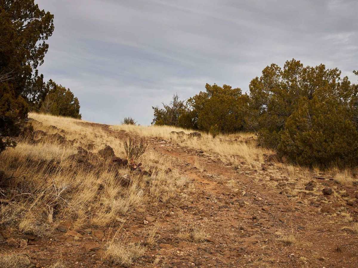 Hunters Camp photo 3