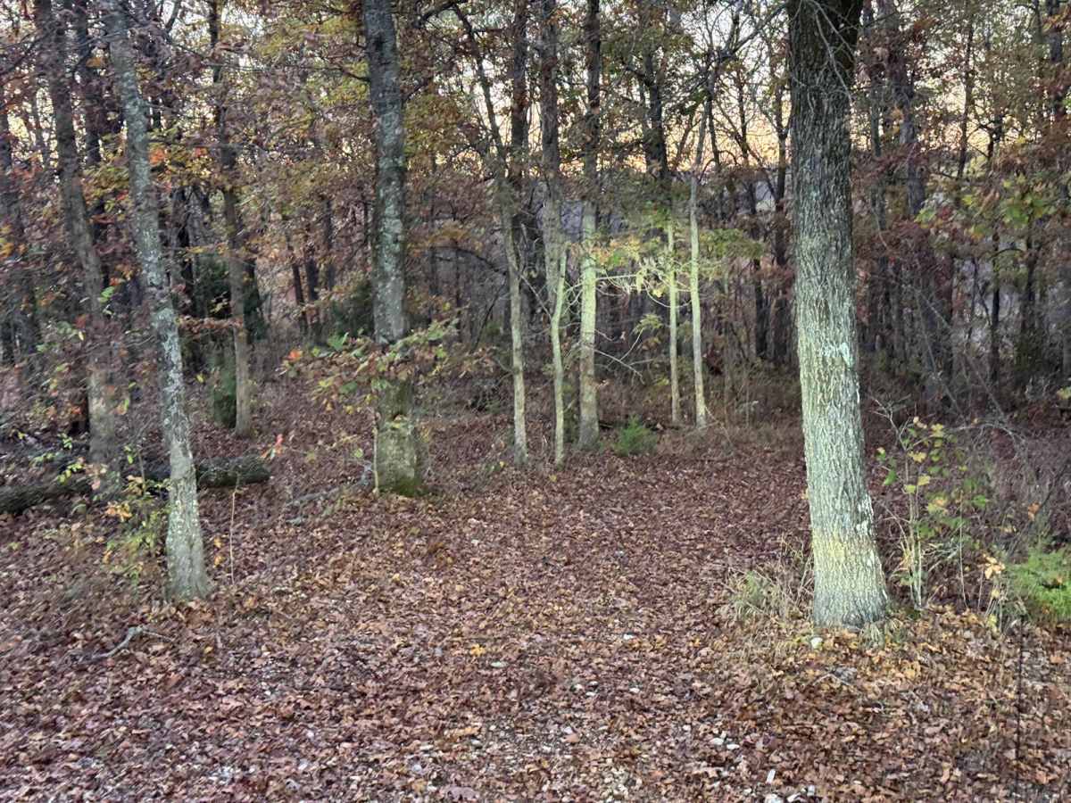 Green 160 photo 2