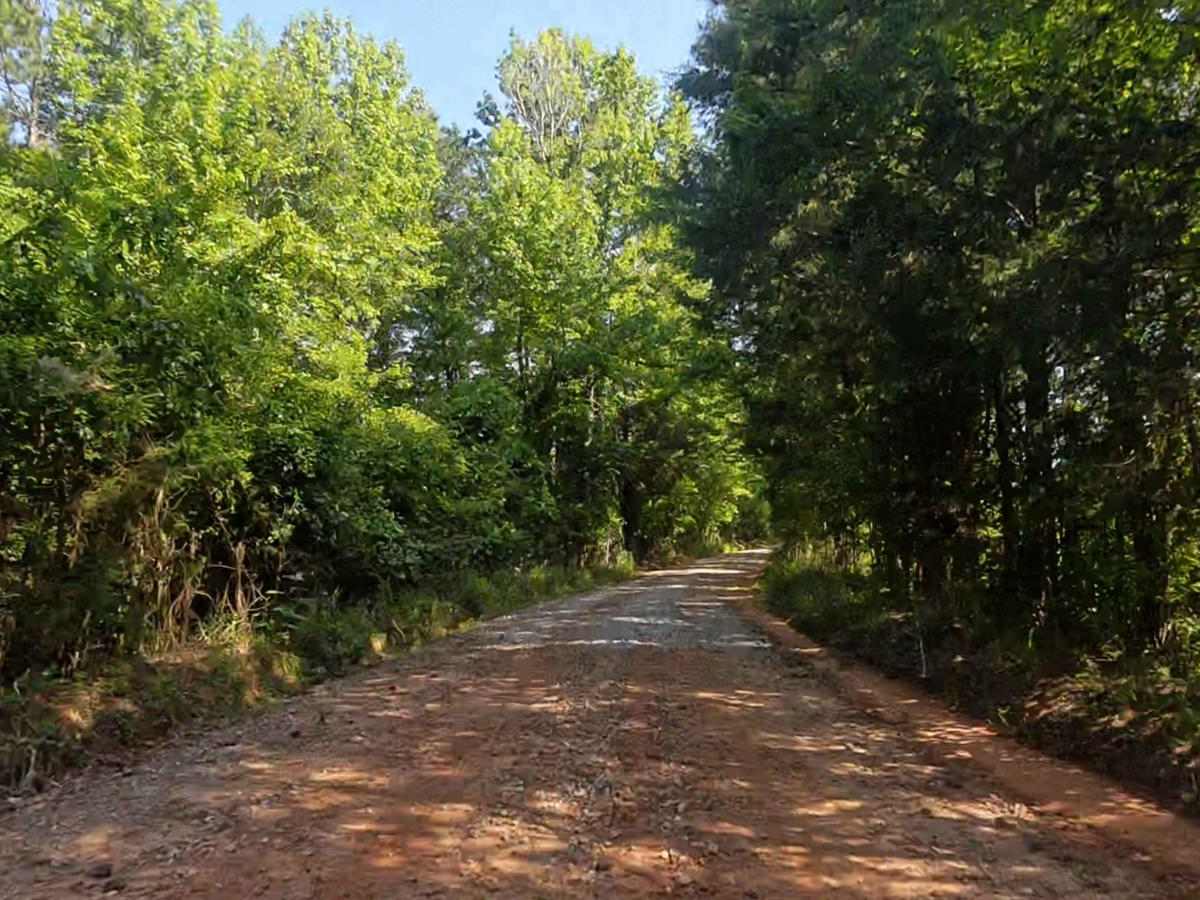 Panther Creek Road photo 6