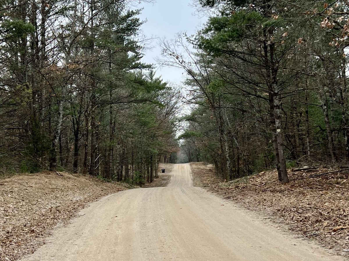 NFS 9211 (Newaygo Experimental Forest Trail) photo 3