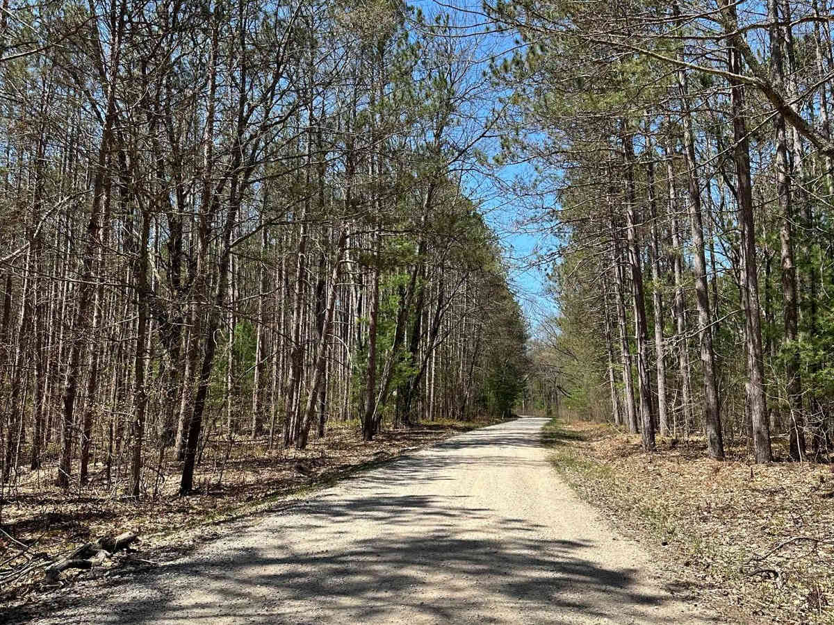 Cadillac Area ORV/OHV Scenic Ride - Part 17 photo 6