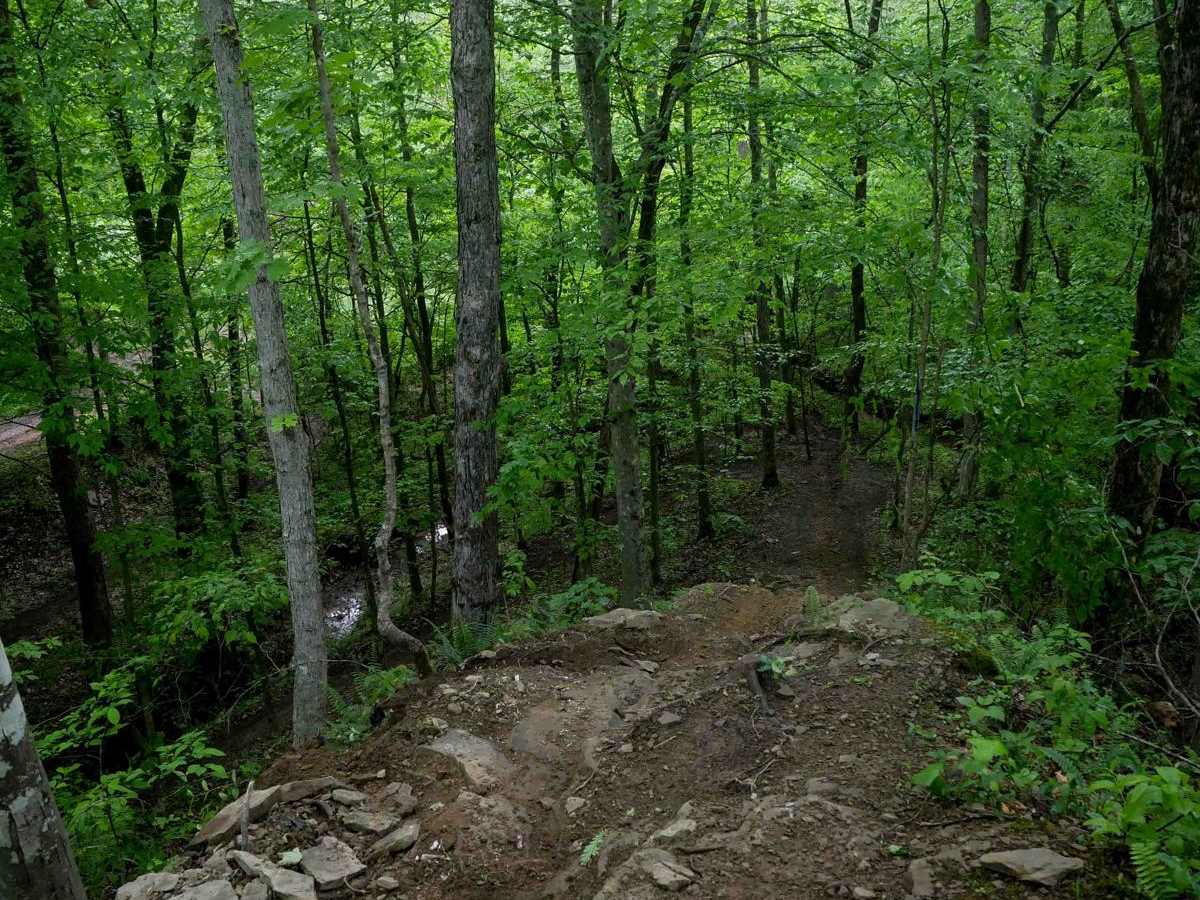 T57 trail photo