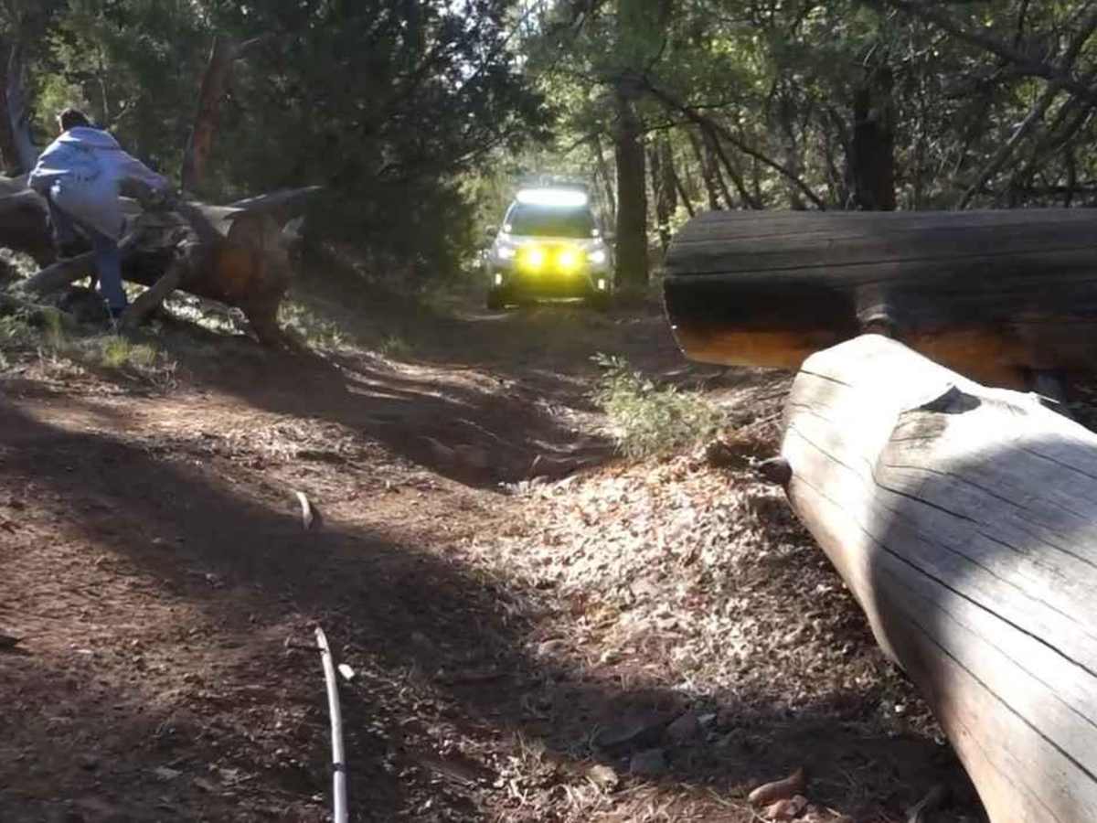 Breezy Tank FS 9849 trail photo