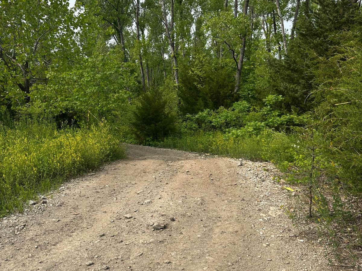 Green 28 trail photo