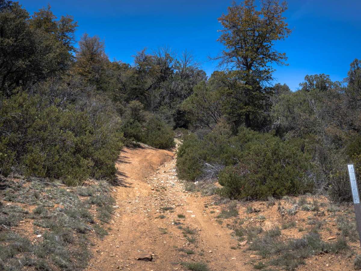 Epic, Interrupted trail photo