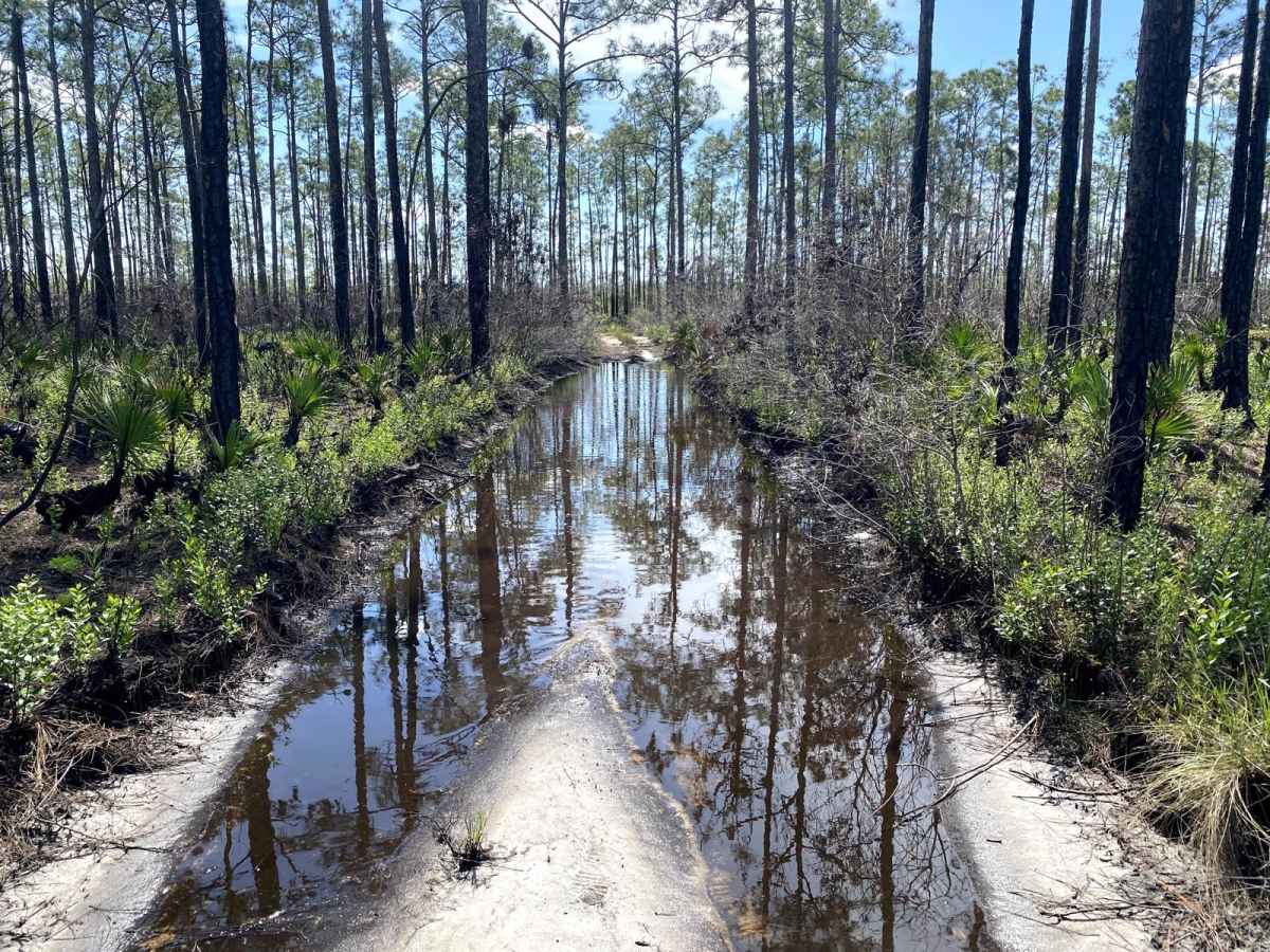 Road 7 trail photo
