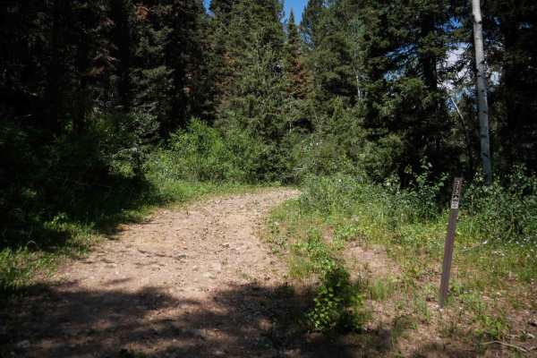 Cow Fork Bench #3373