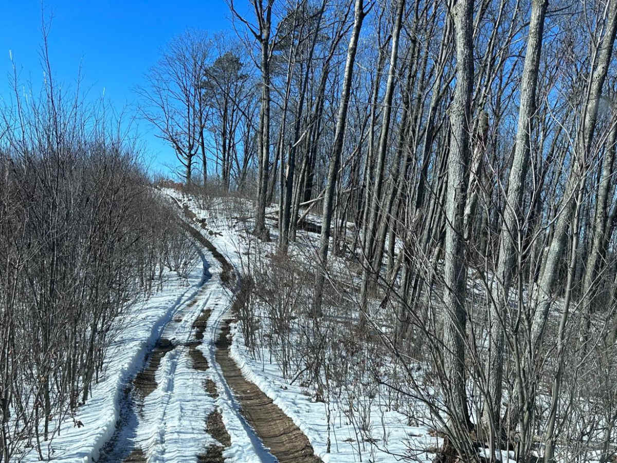 Grayling Hills photo 3