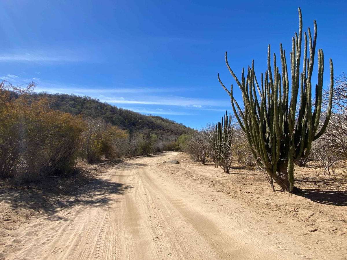 El Choro y Vinoramas trail photo