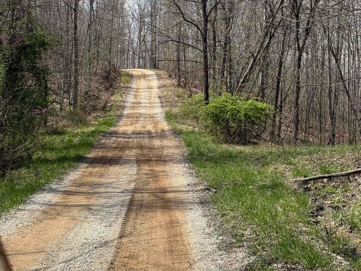 Trail 29 photo 5