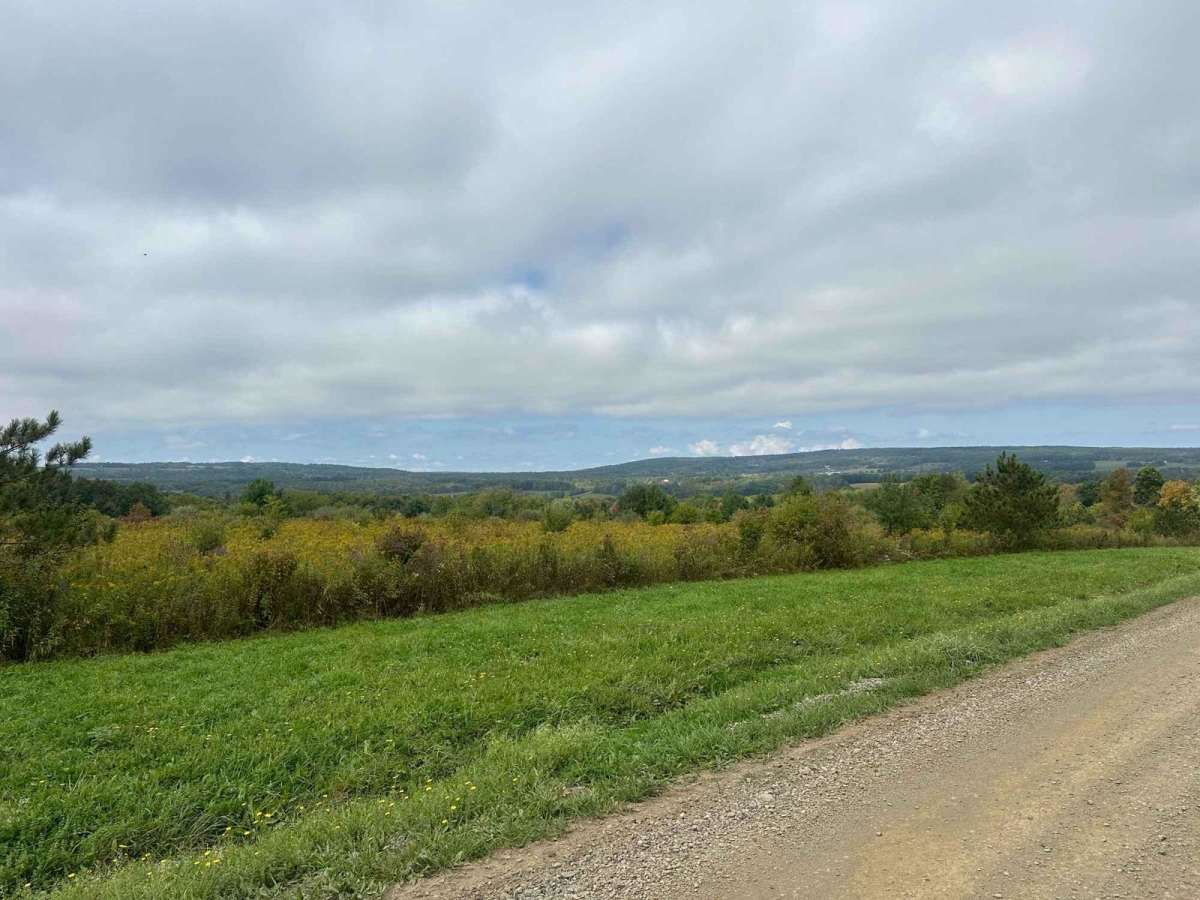 Bauchman Road photo 4