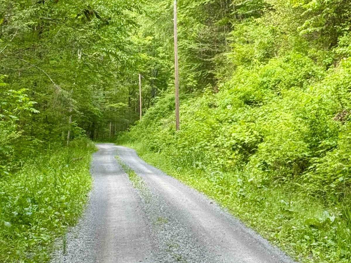 Right Hand Young Womans Creek Road photo 4