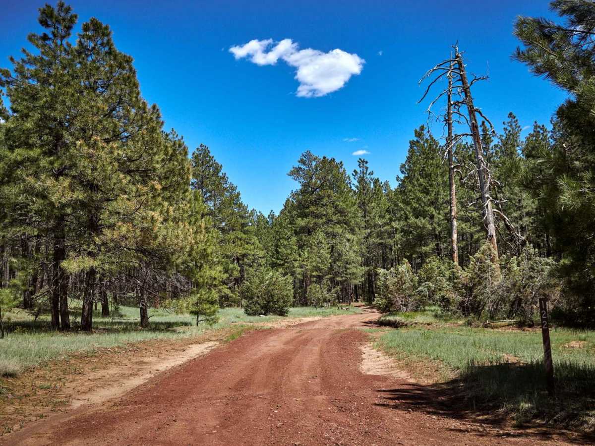 FR 122 trail photo