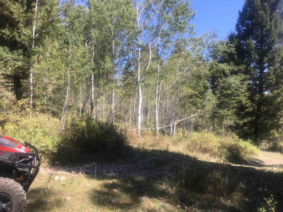 Van Noy-Stoddard Trail photo 2