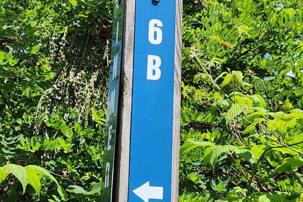 Trail 6B - Rock Run Recreation Area