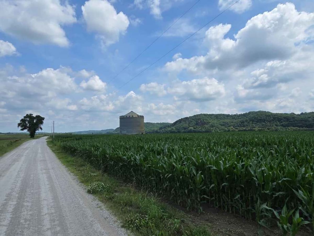 River Road photo 4