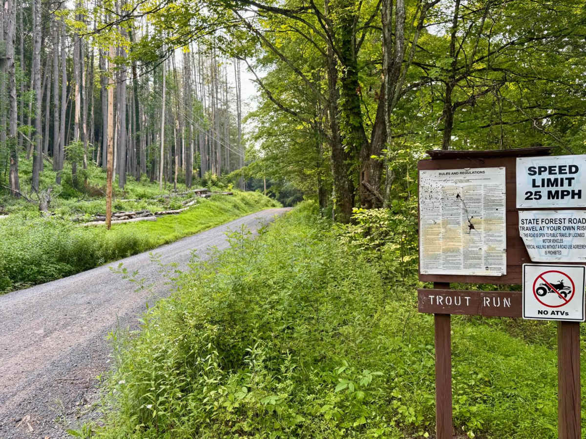 Trout Run Road photo 4