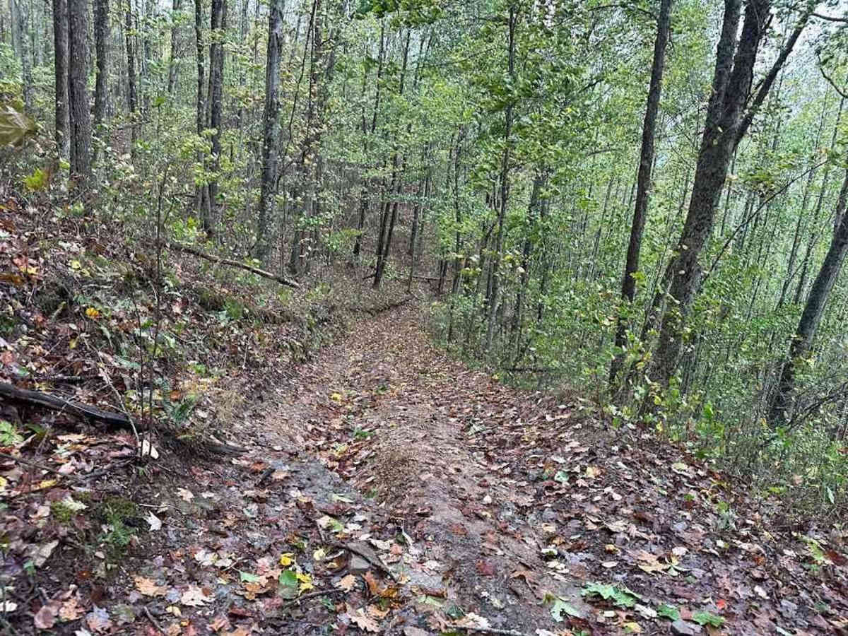 47 Blue trail photo