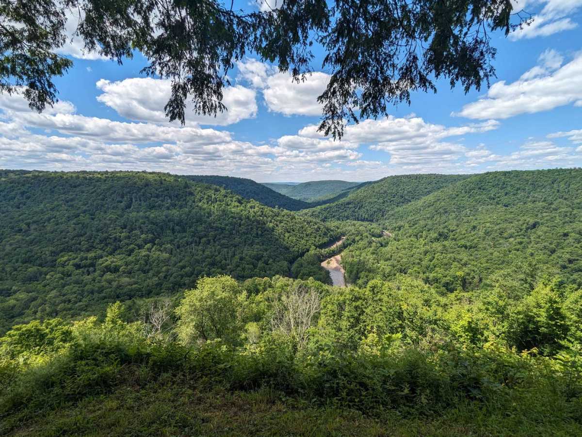 Cold Run Road trail photo
