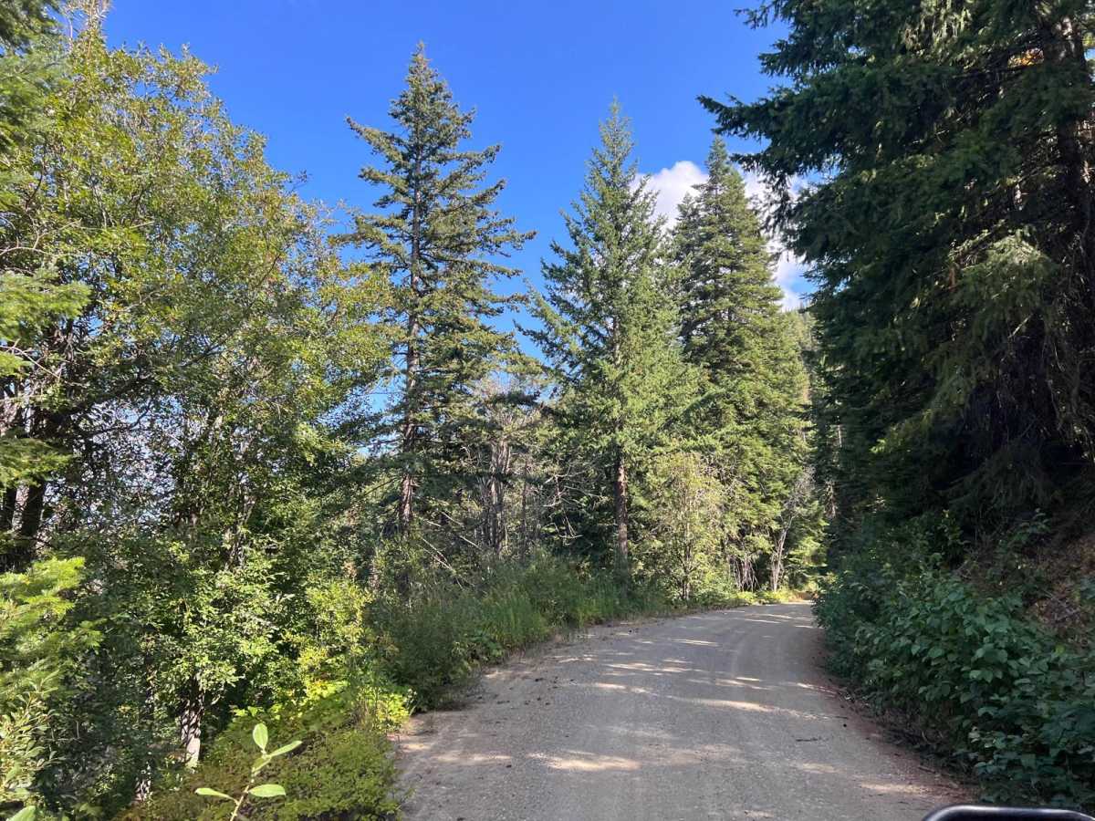 Sugarloaf Mountain Lookout Tower trail photo
