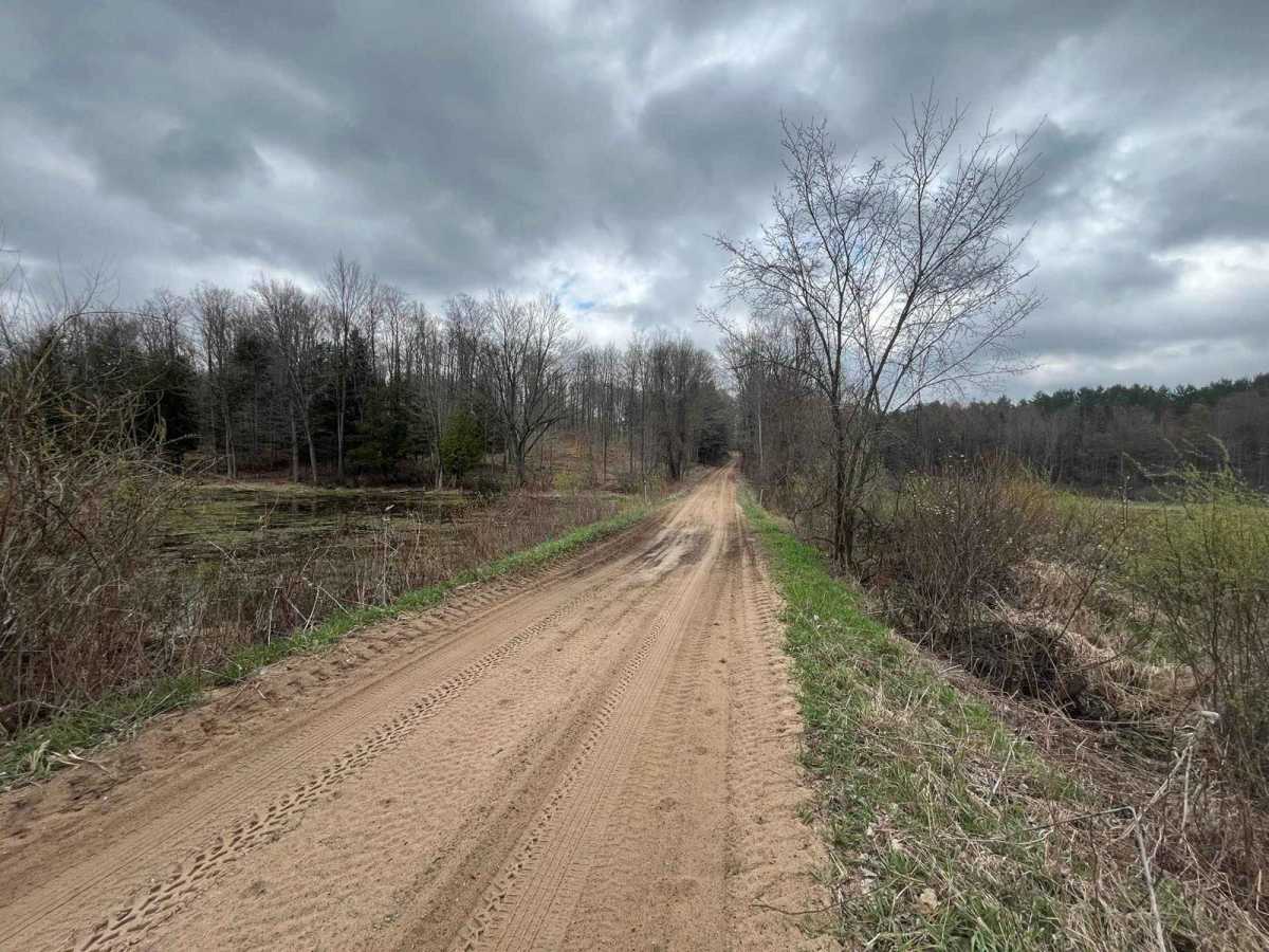 County Line Road photo 3