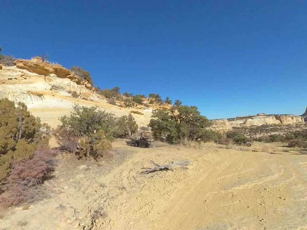 Secret Mesa-BLM648 photo 5