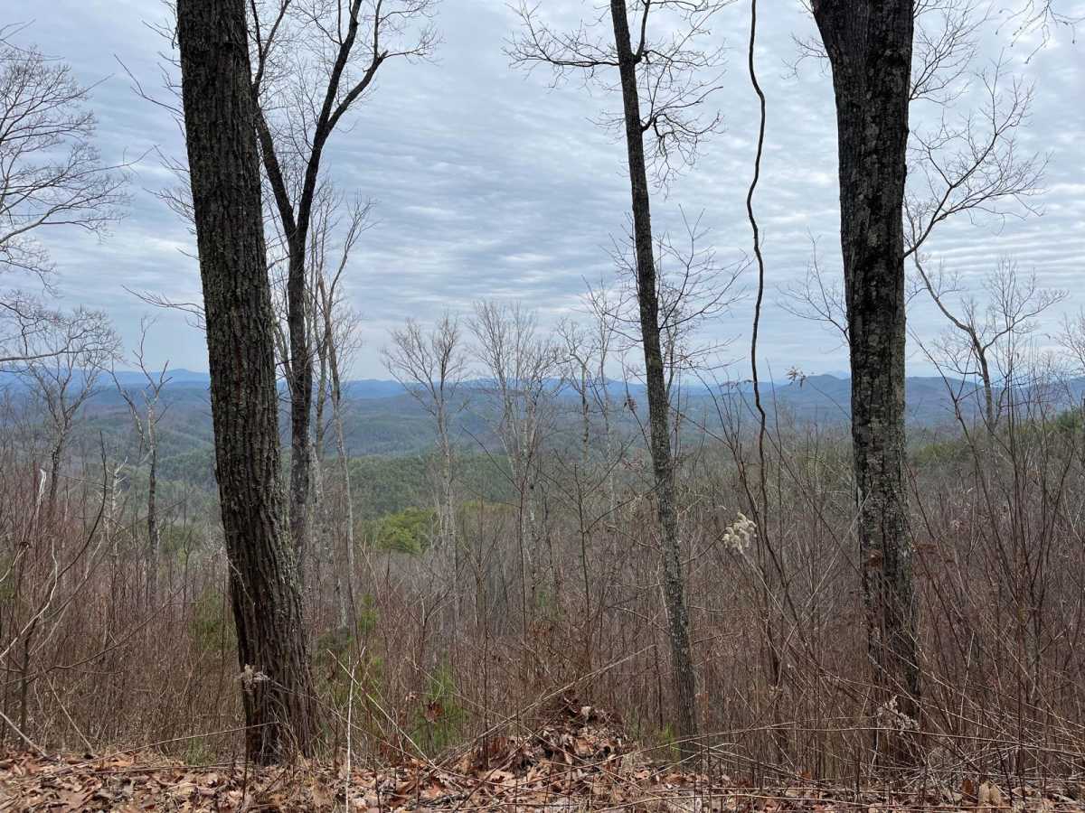 Kimsey MTN (Old 68 HWY) photo 6