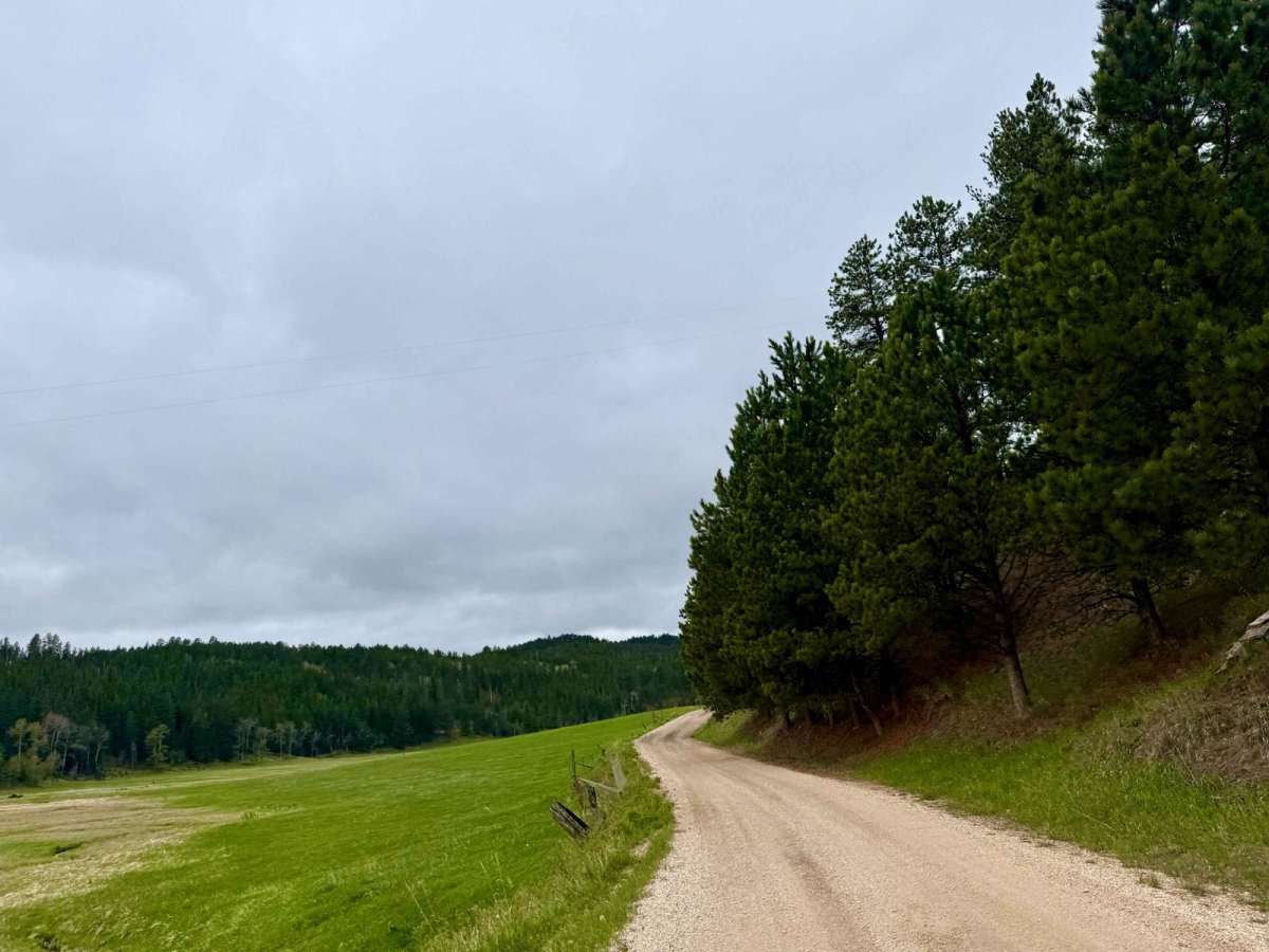 FS 231.4 trail photo