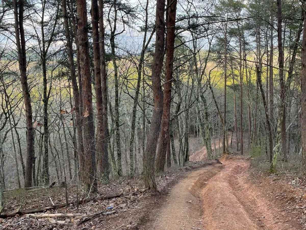 9 trail photo