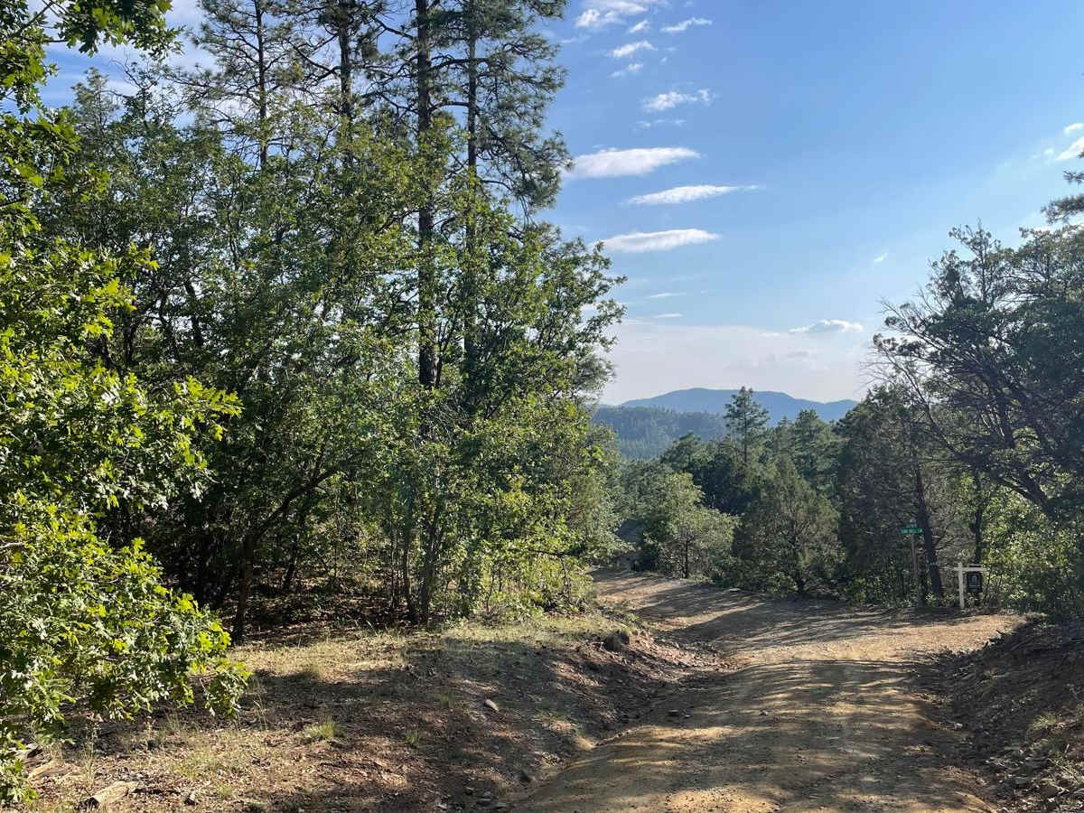 Exit Off Spruce Mountain Road photo 2