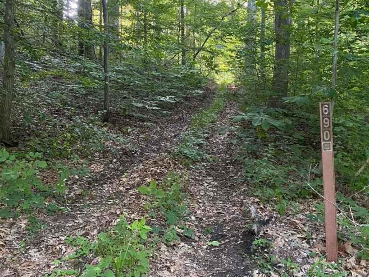 Diswood FSR 690 trail photo