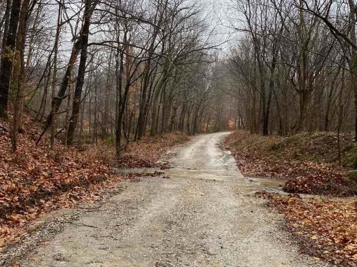 Wilderness Retreat Road photo 6