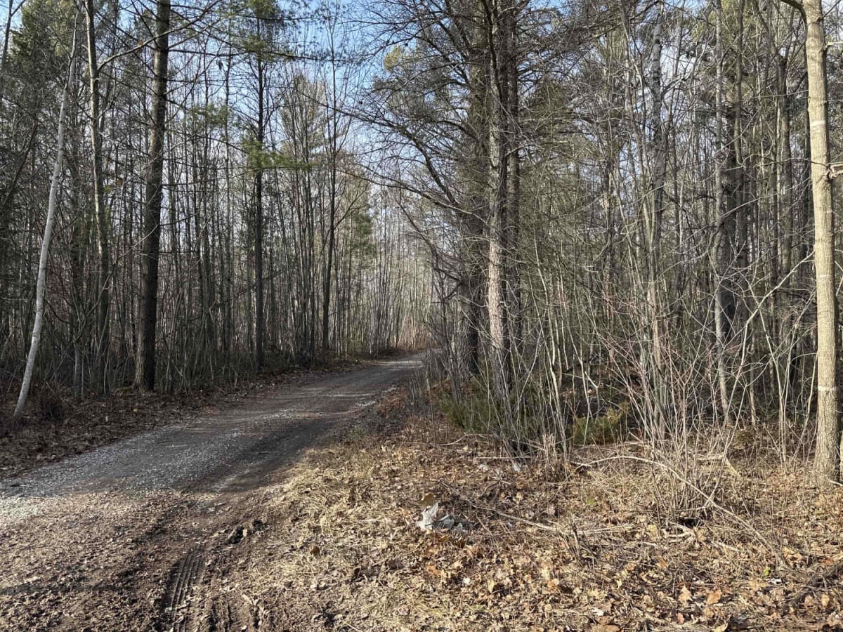 Devils lake to Indian reserve rd. photo 4