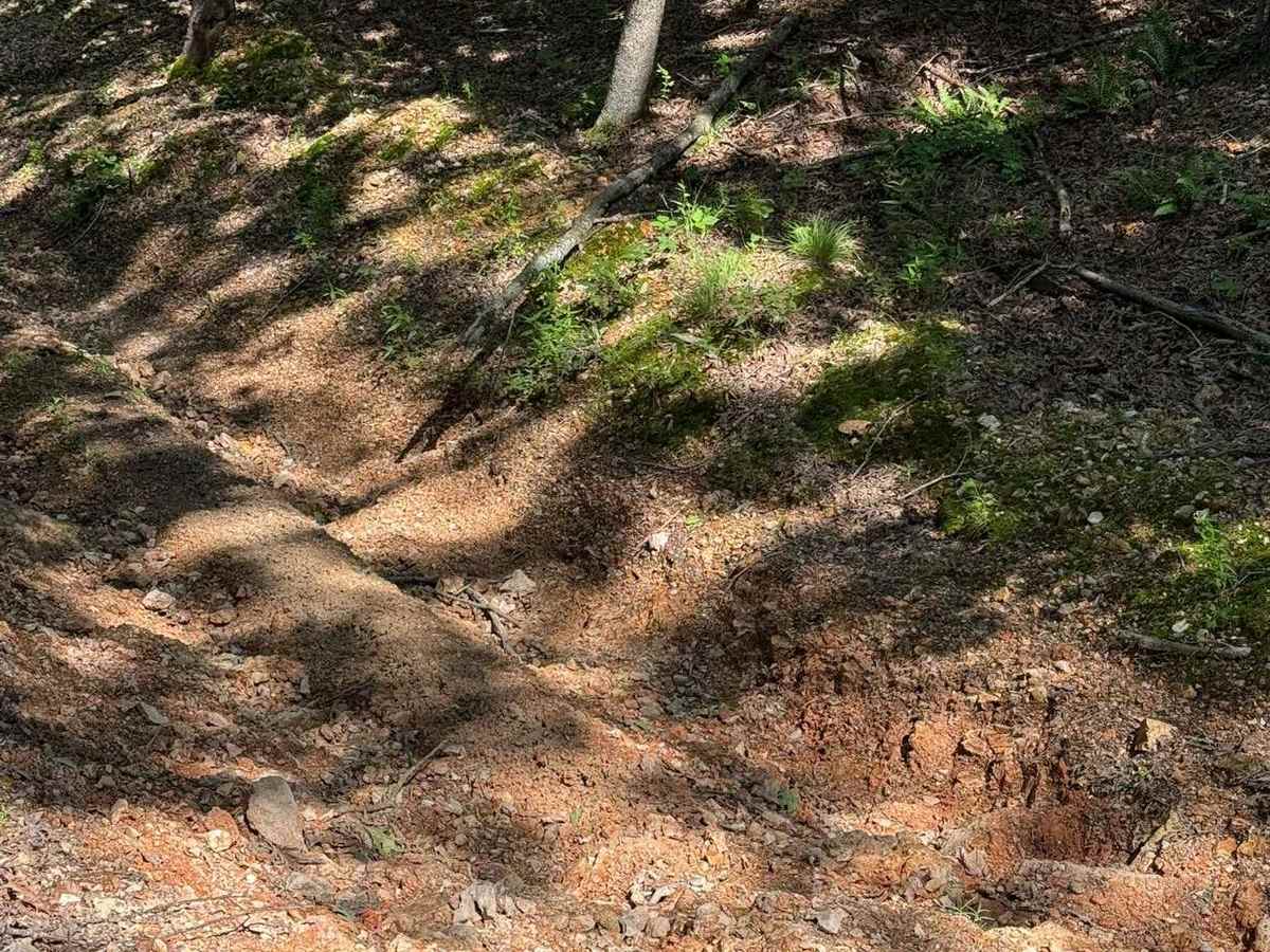 Joey's Trail photo 3