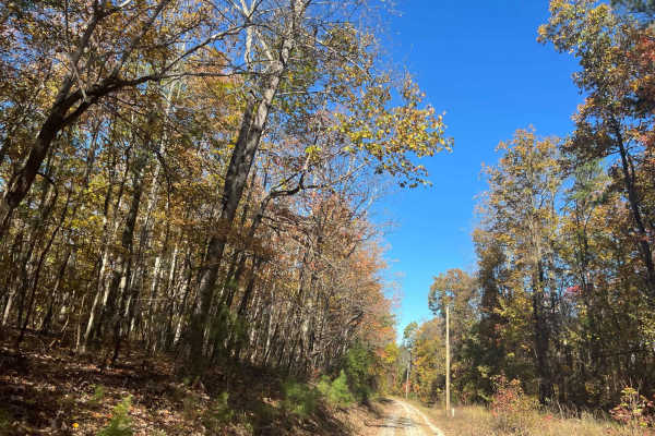 County Road 198 - FS272