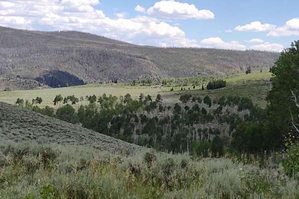 Papa Bear Spur Loop (FS 42453, 42449, 42450)