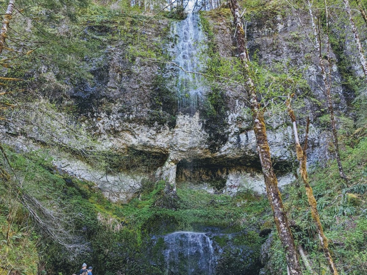 Kilchis Falls Spur trail photo