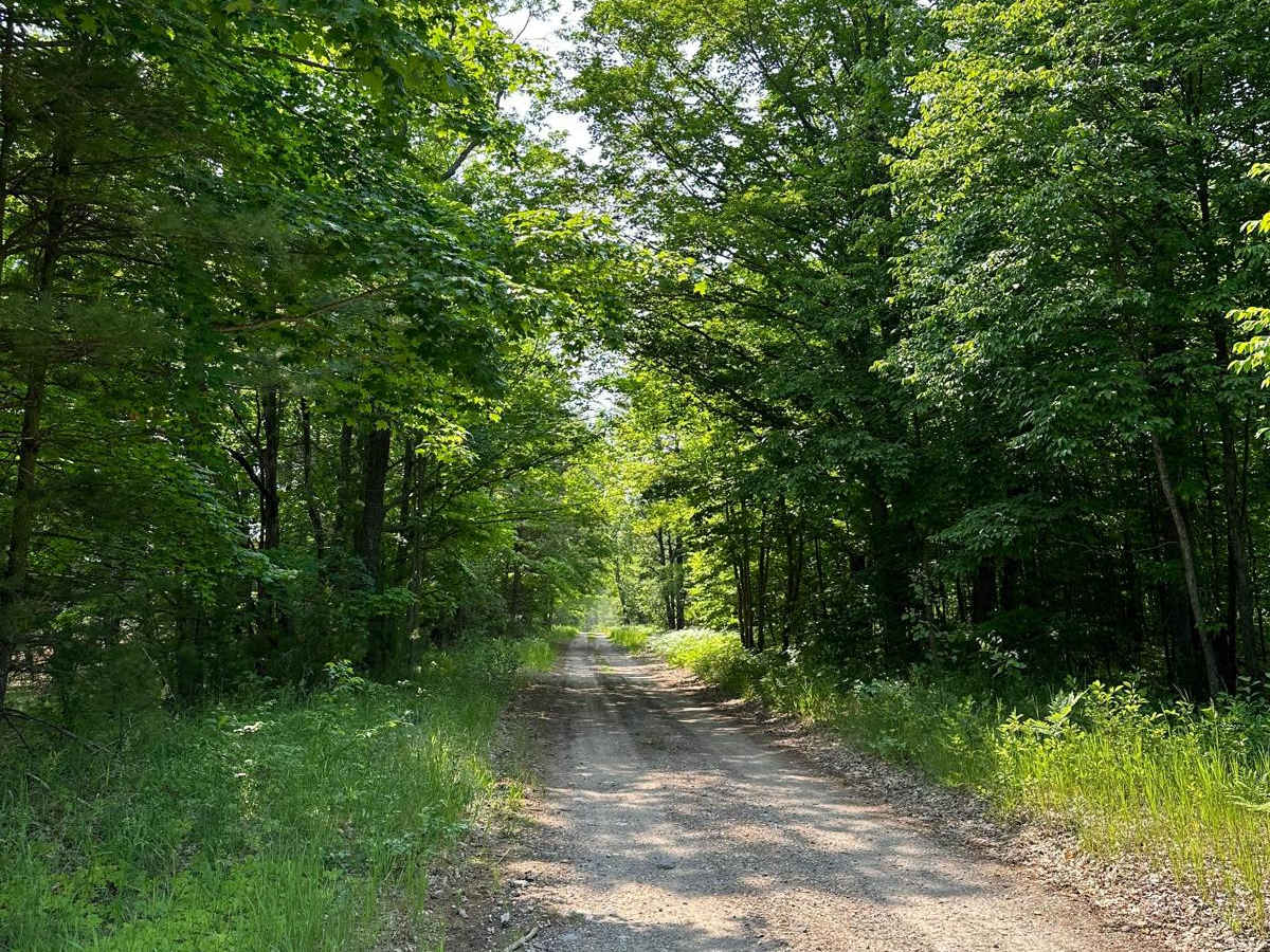 Trail 48466 photo 5